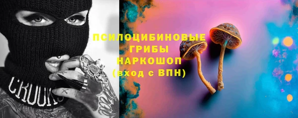 ГАЛЛЮЦИНОГЕННЫЕ ГРИБЫ Армянск