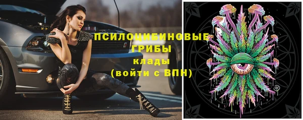 а пвп мука Аркадак