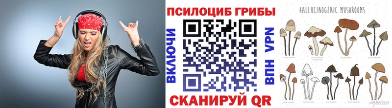 Купить  Наволоки  Галлюциногенные грибы MAGIC MUSHROOMS 